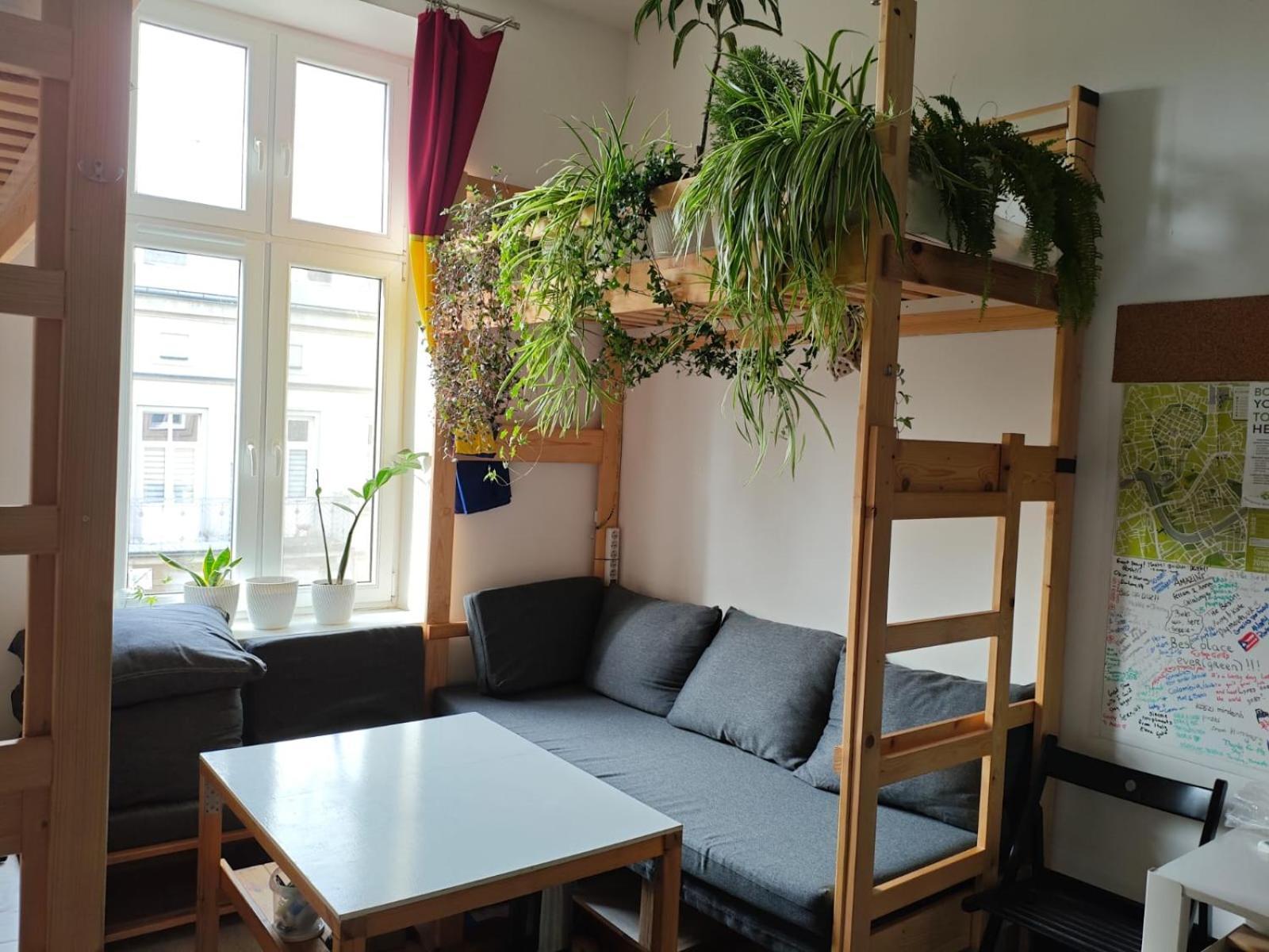 Evergreen Hostel Krakow — Photos 2